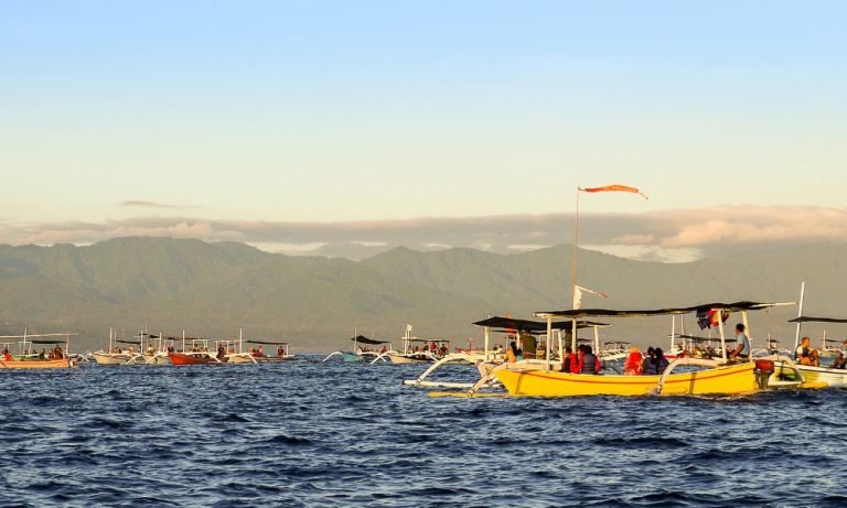 Lovina Dolphin Sunrise – Wild Dolphin Watching at Dawn